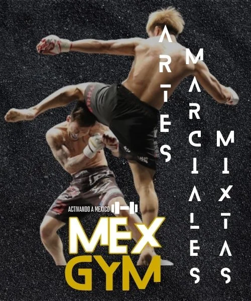 artes marciales mixtas blog mexgym